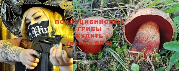 apvp Вязьма