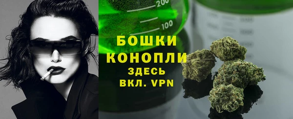 apvp Вязьма