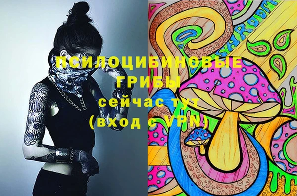 apvp Вязьма