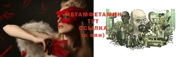 прущие грибы Вязники