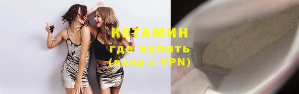 прущие грибы Вязники
