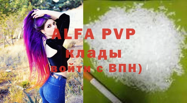 прущие грибы Вязники