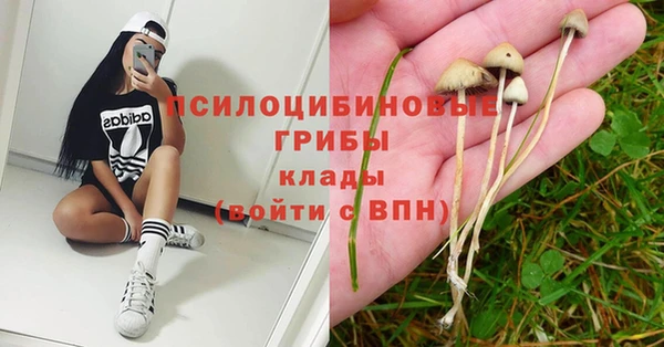 мескалин Вяземский