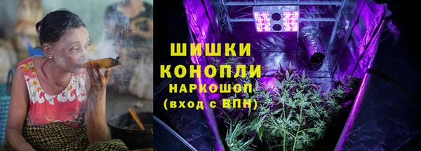 прущие грибы Вязники