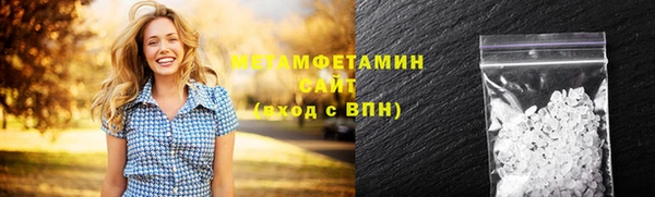 прущие грибы Вязники